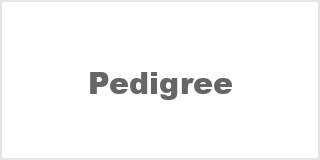 Pedigree