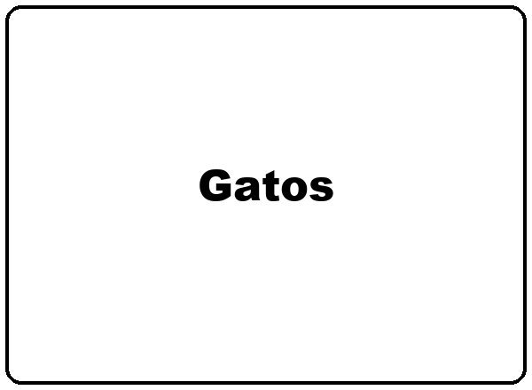 Gatos